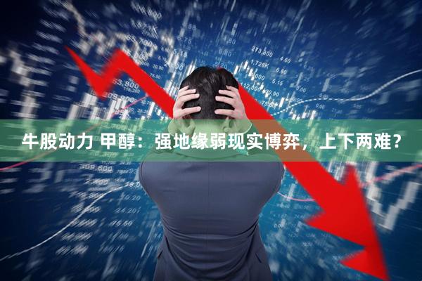 牛股动力 甲醇：强地缘弱现实博弈，上下两难？