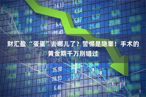 财汇盈 “蛋蛋”去哪儿了？警惕是隐睾！手术的黄金期千万别错过