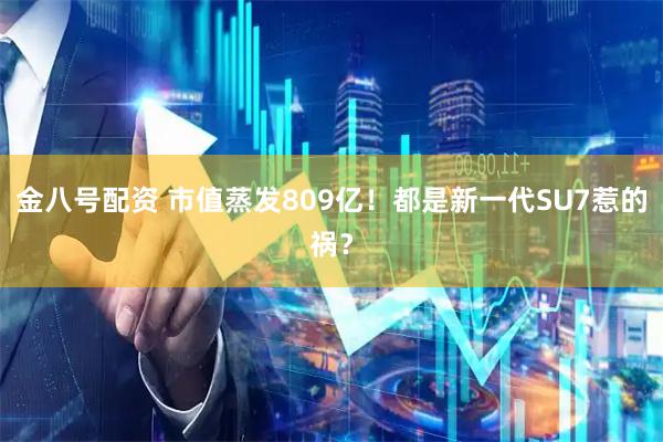 金八号配资 市值蒸发809亿！都是新一代SU7惹的祸？