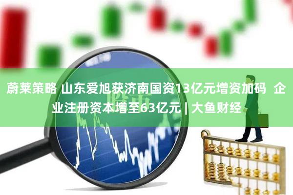 蔚莱策略 山东爱旭获济南国资13亿元增资加码  企业注册资本增至63亿元 | 大鱼财经
