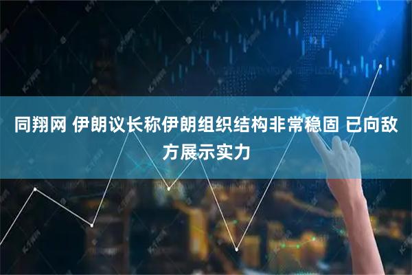 同翔网 伊朗议长称伊朗组织结构非常稳固 已向敌方展示实力