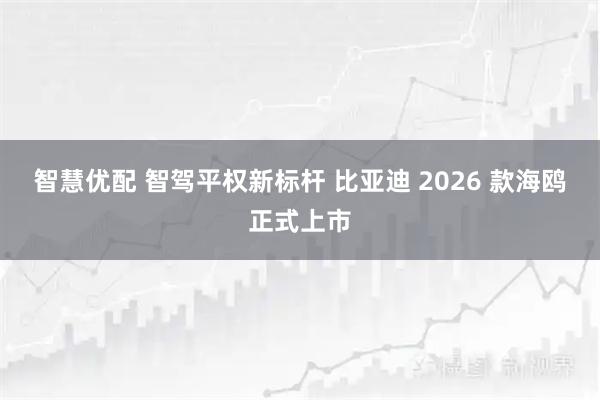 智慧优配 智驾平权新标杆 比亚迪 2026 款海鸥正式上市