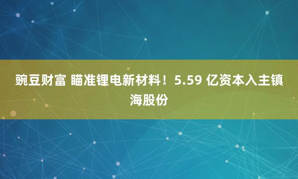 豌豆财富 瞄准锂电新材料！5.59 亿资本入主镇海股份