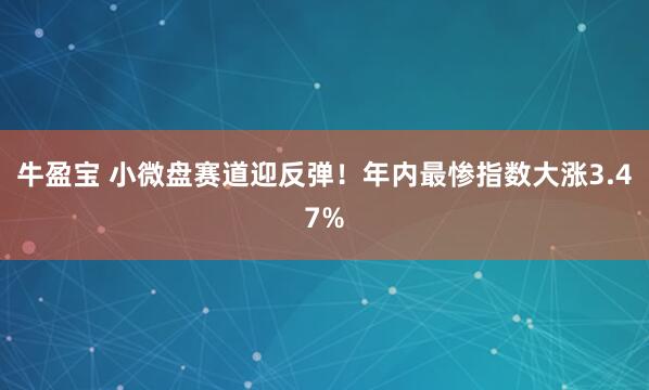 牛盈宝 小微盘赛道迎反弹！年内最惨指数大涨3.47%